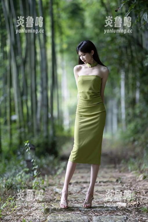 秀人网 - 夏旖诺的女仆作品，分享一波“这是什么鬼”的想法