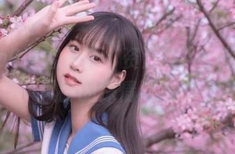 萌芽儿o0博客最新“资源库”：银杏与黄风铃的深情对话！