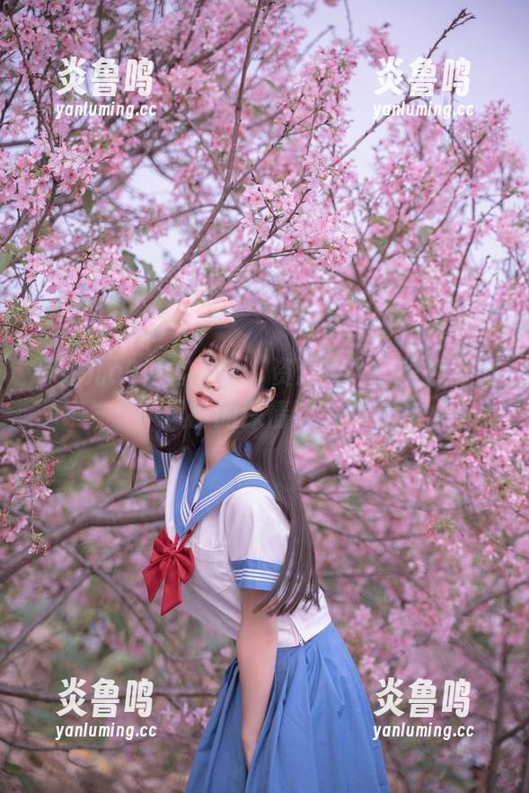 萌芽儿o0博客最新“资源库”：银杏与黄风铃的深情对话！