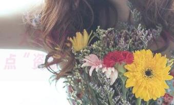 轰趴猫 – 大家都在忙，曲曲则在办公室添点“资源”…你听说了吗？